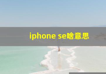 iphone se啥意思